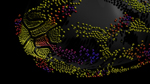 particle bean