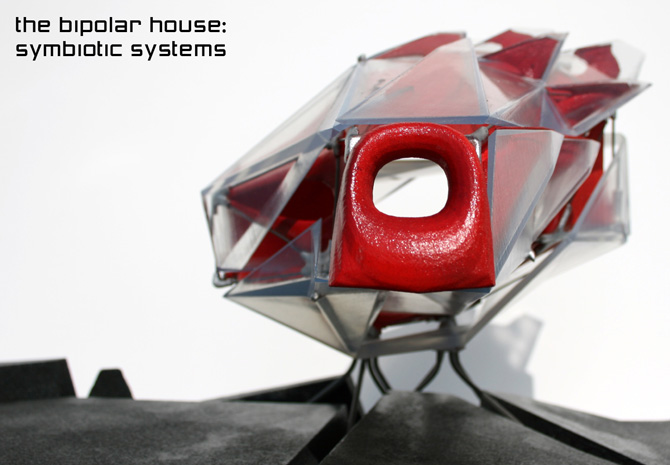 north model view